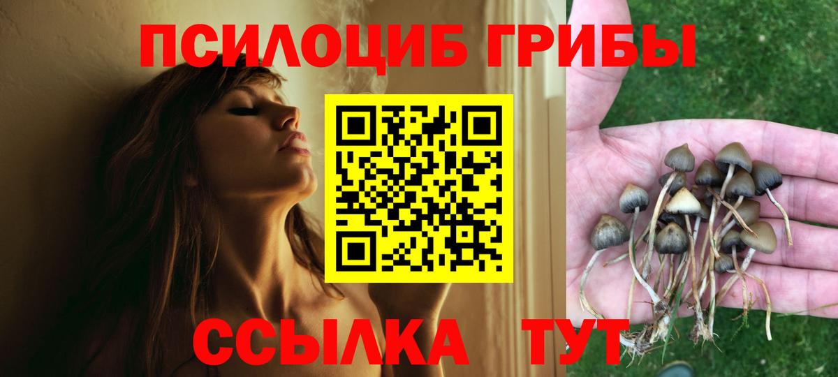 где купить наркоту  Псилоцибиновые грибы прущие грибы  Вход с VPN  Гуково 